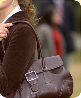 Handbag Cleaning